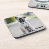 German Shepherd Puppy on Footpath Getränkeuntersetzer (Linke Seite)