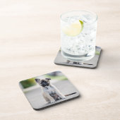 German Shepherd Puppy on Footpath Getränkeuntersetzer (Rechte Seite)