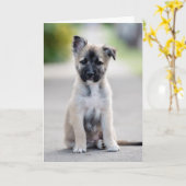 German Shepherd Puppy on Footpath Karte (Gelbe Blume)