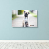 German Shepherd Puppy on Footpath Leinwanddruck (Insitu (Holzboden))