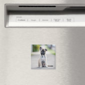 German Shepherd Puppy on Footpath Magnet (In Situ (Geschirrspüler))
