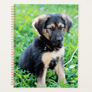 German Shepherd Puppy Planer