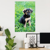 German Shepherd Puppy Poster (Heimbüro)