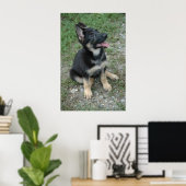 German Shepherd Puppy Poster (Heimbüro)