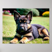 German Shepherd Puppy Poster (Vorne)