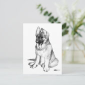 German Shepherd Puppy Postkarte (Stehend Vorderseite)