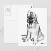 German Shepherd Puppy Postkarte (Vorne/Hinten)