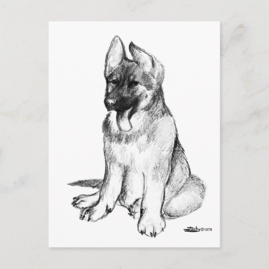 German Shepherd Puppy Postkarte (Vorderseite)