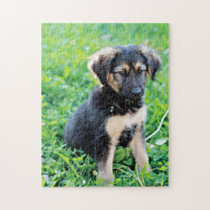 German Shepherd Puppy Puzzle