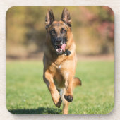 German Shepherd Running Getränkeuntersetzer (Vorderseite)