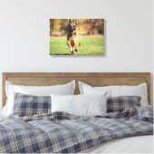 German Shepherd Running Leinwanddruck (Insitu (Schlafzimmer))