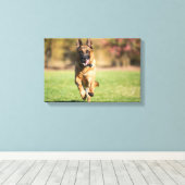 German Shepherd Running Leinwanddruck (Insitu (Holzboden))