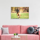 German Shepherd Running Leinwanddruck (Insitu (Wohnzimmer))