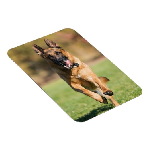 German Shepherd Running Magnet (Rechte Seite)