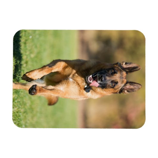 German Shepherd Running Magnet (Horizontal)