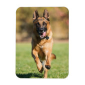 German Shepherd Running Magnet (Vertikal)
