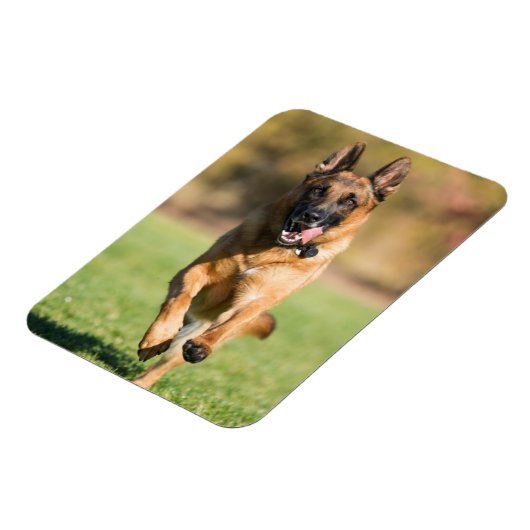 German Shepherd Running Magnet (Linke Seite)