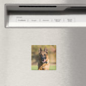 German Shepherd Running Magnet (In Situ (Geschirrspüler))