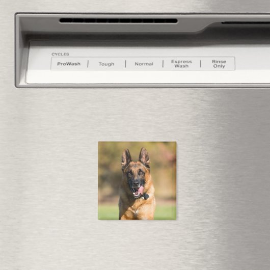 German Shepherd Running Magnet (In Situ (Geschirrspüler))