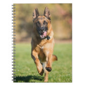 German Shepherd Running Notizblock (Vorderseite)