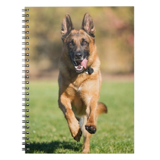 German Shepherd Running Notizblock (Vorderseite)