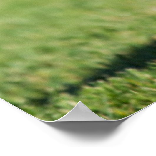 German Shepherd Running Poster (Ecke)