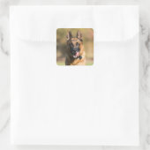 German Shepherd Running Quadratischer Aufkleber (Tasche)