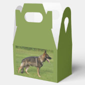 German Shepherd Sable Full Geschenkschachtel (Geöffnet)