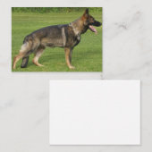 German Shepherd Sable Full Mitteilungskarte (Vorne/Hinten)