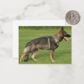 German Shepherd Sable Full Mitteilungskarte (Vorderseite/Rückseite Beispiel)