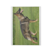 German Shepherd Sable Full Notizblock (Rotiert)