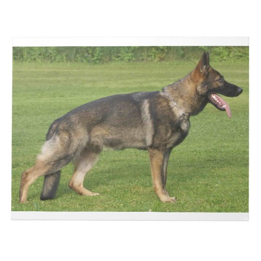 German Shepherd Sable Full Notizblock (Vorderseite)