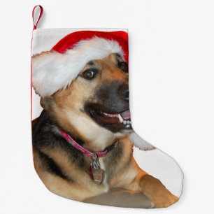 German Shepherd Santa Claus Kleiner Weihnachtsstrumpf