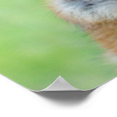 German Shepherd Side Portrait Poster (Ecke)