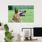 German Shepherd Side Portrait Poster (Heimbüro)