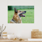German Shepherd Side Portrait Poster (Küche)