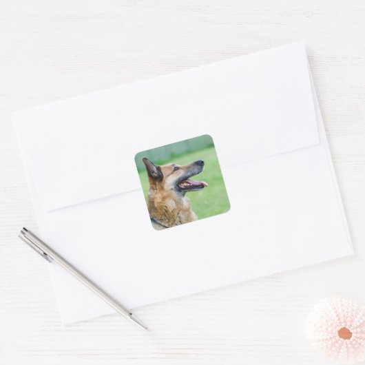 German Shepherd Side Portrait Quadratischer Aufkleber (Umschlag)