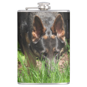 German Shepherd Stare Woodchuck Scare Flachmann