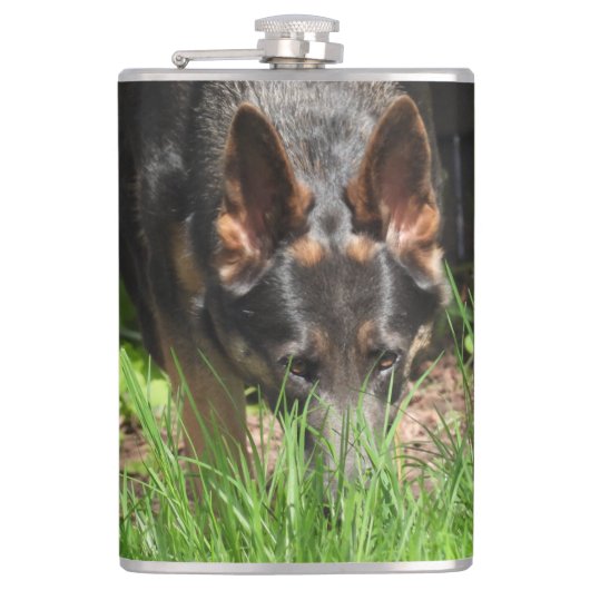 German Shepherd Stare Woodchuck Scare Flachmann (Vorderseite)