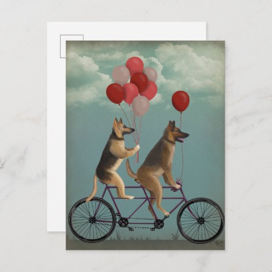German Shepherd Tandem Postkarte (Vorne/Hinten)