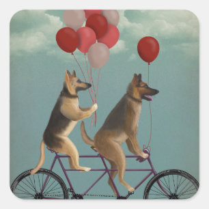German Shepherd Tandem Quadratischer Aufkleber