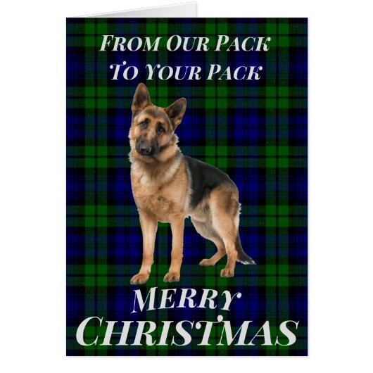 German Shepherd Tartan Christmas Card (Vorne)