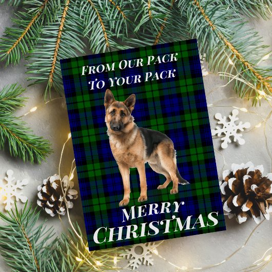 German Shepherd Tartan Christmas Card