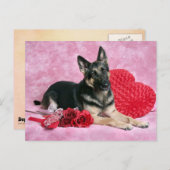 German Shepherd Valentine Feiertagspostkarte (Vorne/Hinten)