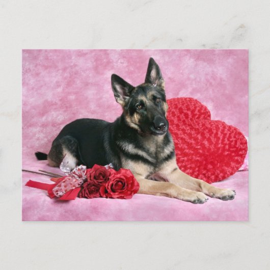 German Shepherd Valentine Feiertagspostkarte (Vorderseite)