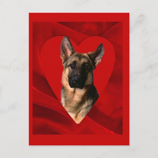 German Shepherd Valentine Feiertagspostkarte (Vorderseite)