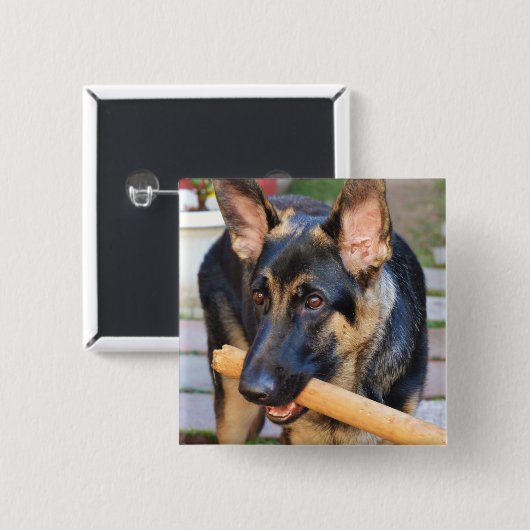 German Shepherd von Shirley Taylor Button (Vorne & Hinten)