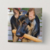 German Shepherd von Shirley Taylor Button (Vorderseite)