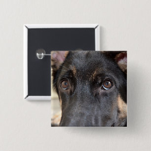German Shepherd von Shirley Taylor Button