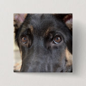 German Shepherd von Shirley Taylor Button (Vorderseite)